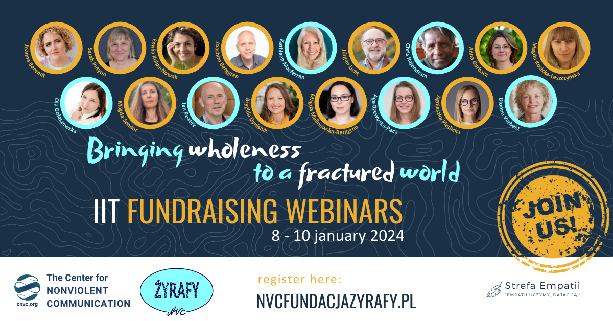 Iit Fundraising Webinars
