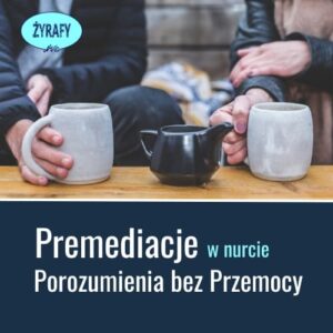 Premediacja